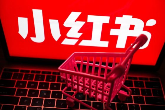 图片[2]-小红书 1000 + 真实粉丝暴增秘籍：精准内容 + 互动技巧，普通人也能做到的涨粉套路-知源池