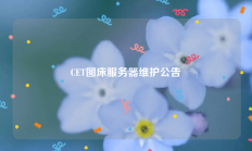 CET图床服务器维护公告