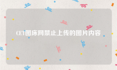 CET图床网禁止上传的图片内容【公告】