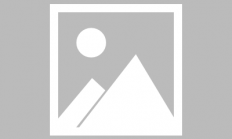 CET图床网来路调研送VIP活动