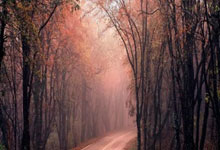 CET图床CDN线路调整升级公告