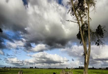 2026年2月1日起默认上传图片数量策略调整