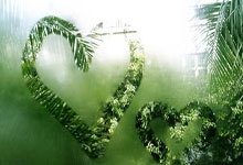 CET图床CDN线路调整升级公告