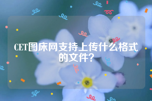 CET图床网支持上传什么格式的文件？